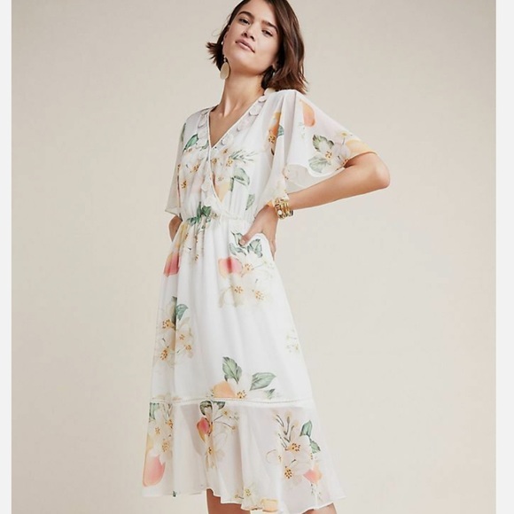 Farm Rio Sheer Dress - Picture 2 of 6